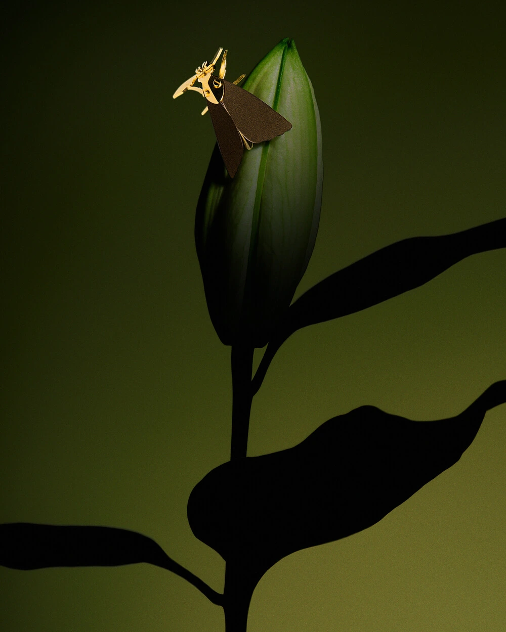 Brown moth pin from the Plantis collection